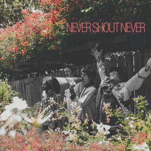 Image for 'Never Shout Never mix'