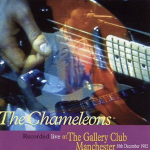 Image for 'Live at the Gallery Club Manchester, 1982'