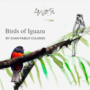 'Birds of Iguazu'の画像