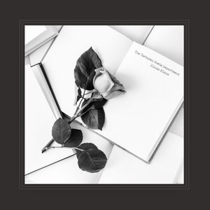 Image for 'The Tortured Poets Department: Piano Instrumentals'