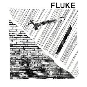 Image for 'Fluke'