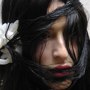 Image pour 'Arca'