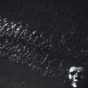 Immagine per 'Who Owns The Dark?'