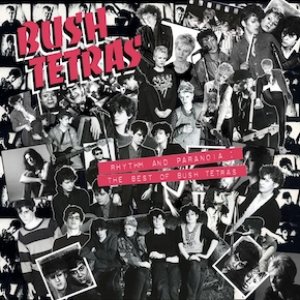 Immagine per 'Rhythm and Paranoia: The Best of Bush Tetras'