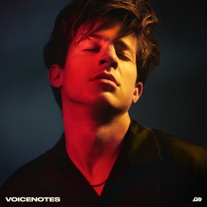 Image for 'Voicenotes'