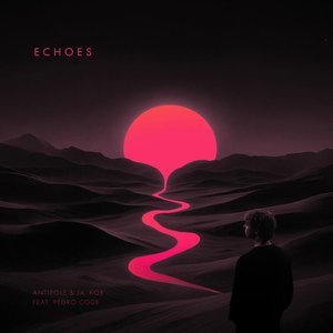 Image for 'Echoes'