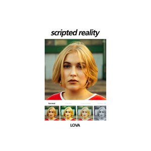 'Scripted Reality'の画像