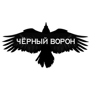 Image for 'ЧЁРНЫЙ ВОРОН'