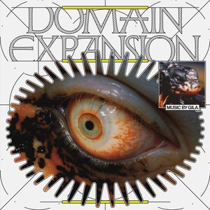 'Domain Expansion'の画像
