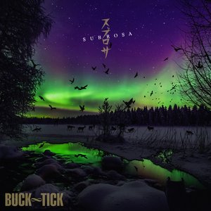 “SUBROSA”的封面