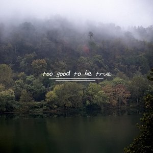 Image for 'too good to be true'