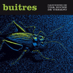 Bild für 'Canciones de una noche de verano'