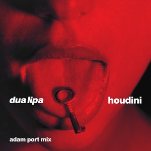 Immagine per 'Houdini (Adam Port Mix)'