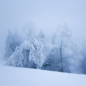 Image for 'Winter Solace'