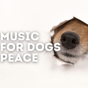 Image for 'Music For Dogs Peace'