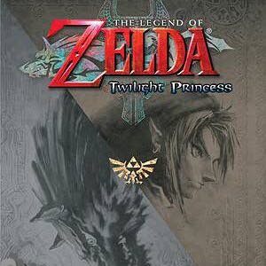 Image for 'The Legend of Zelda: Twilight Princess Instrumental Remix'