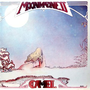 'Moonmadness (Deluxe Edition)'の画像