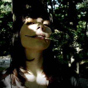 “Field Mouse”的封面