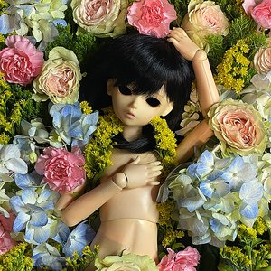 Image for 'The First Day of Spring'