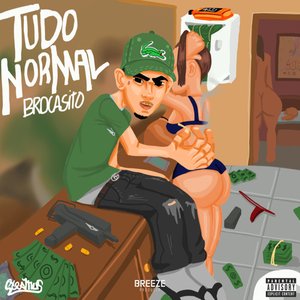 Image for 'Tudo Normal'