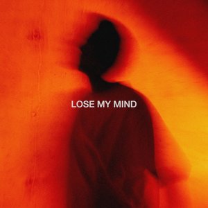Image for 'Lose My Mind'