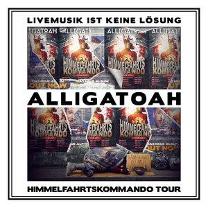 Image for 'Livemusik ist keine Lösung - Himmelfahrtskommando Tour'
