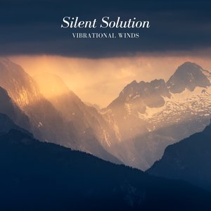 Image for 'Silent Solution'