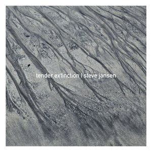 Image for 'Tender Extinction'