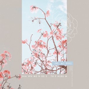 'The Album (Remixes)'の画像