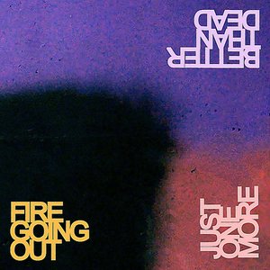 Image pour 'Fire Going Out'