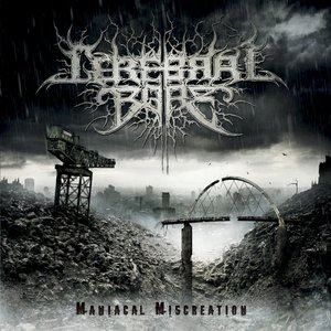 Image for 'Maniacal Miscreation'