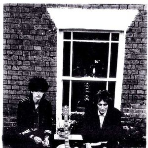 Image for 'The Brotherhood of Lizards'