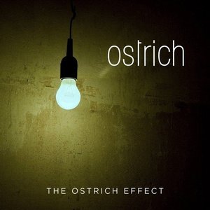 Image pour 'The Ostrich Effect'