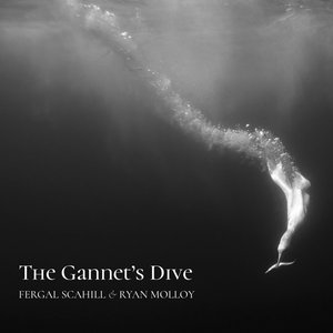 Изображение для 'The Gannet's Dive'