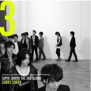 Image for '3집 - SORRY, SORRY'