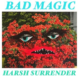 Image for 'Harsh Surrender'