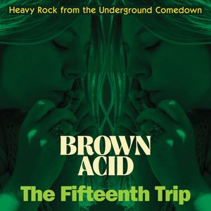 Image for 'Brown Acid - The Fifteenth Trip'