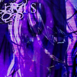 “iris (bloom/bleed)”的封面