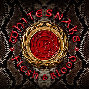 Zdjęcia dla 'Flesh & Blood (Deluxe Edition)'