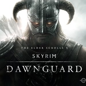 “Skyrim: The Elder Scrolls V”的封面