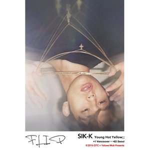 Image for 'FLIP'