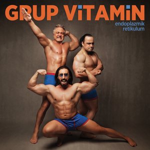 Image pour 'Grup Vitamin'