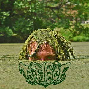 Image for 'Toadface'