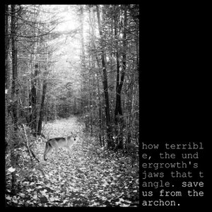 “How Terrible, the Undergrowth's Jaws That Tangle”的封面
