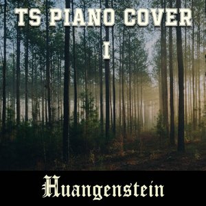 Immagine per 'TS Piano Cover I'