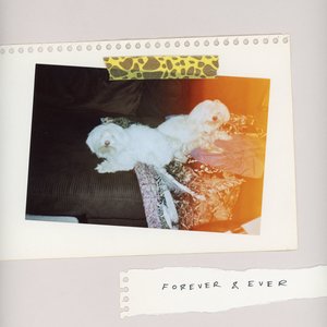 “Forever & Ever”的封面