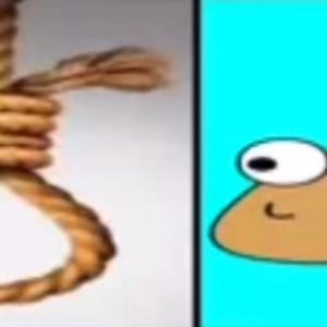pol4rity
