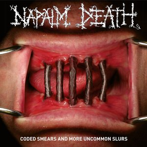 “Coded Smears and More Uncommon Slurs”的封面