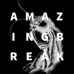 Image for 'AMAZING BREAK'