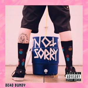 Image for 'Not Sorry'